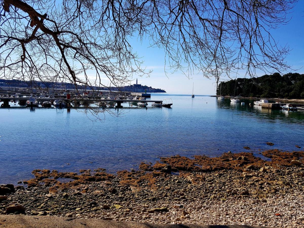 Martin Apartments Rovinj Buitenkant foto